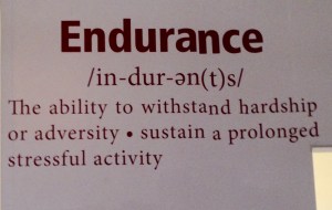 Endurance
